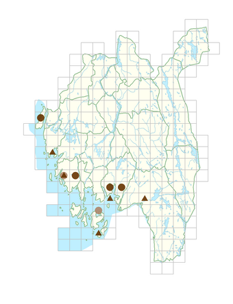 Hippophae rhamnoides.png