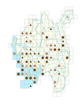 Hippuris vulgaris.png