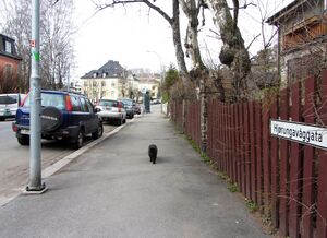 Hjørungavåggata Oslo 2014.jpg