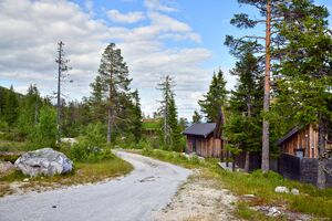 Hjartdal, Øvre Blåtjønnveg-1.jpg