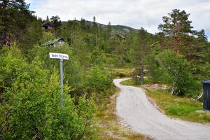 Hjartdal, Nedre Blåtjønnveg-1.jpg