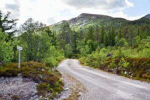 Hjartdal, Ostenatten-1.jpg