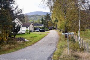 Hjartdal, Revshaug-1.jpg