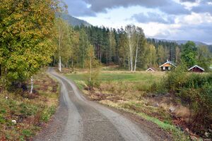 Hjartdal, Sjotmovegen-1.jpg