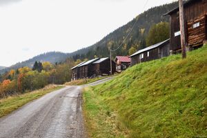 Hjartdal, Skårdalsvegen-1.jpg