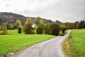 Hjartdal, Slåkåvegen-1.jpg