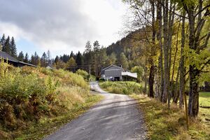 Hjartdal, Snapphøltvegen-1.jpg