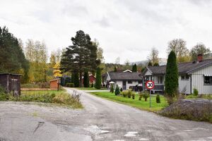 Hjartdal, Sperrdokk-1.jpg