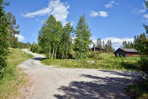 Hjartdal, Transportvegen-1.jpg