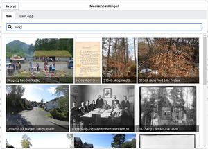 Hjelp bilder i artikler søk.JPG