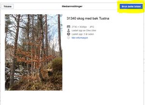 Hjelp bilder i artikler sett inn.JPG