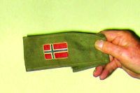 140. Hjemmevernets armbind 1945.jpg