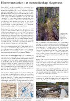 Tavle ved Hoensvannsløken.