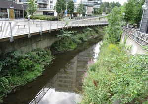 Hoffselva Oslo 2016.JPG