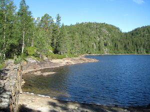 Hoggtjern (be-2008-07-17-IMG 2317).JPG