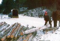 263. Hokksund Portrett (oeb-203348).jpg