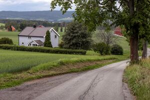 Hole Kirkebakken 230629.jpg