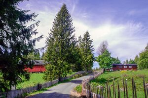 Hole Kongeveien over Krokskogen-02 070602.jpg