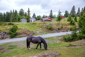 Hole Sørseterveien 150912.jpg