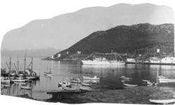 «Norge» på reden i Harstad. Foto: Johan S. Marcussen (1950).