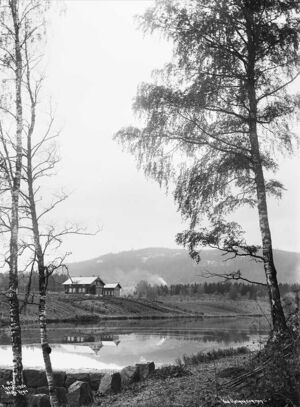 Holmendammen 1902 OB.Y1203.jpg