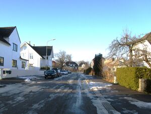 Holmestrandgaten Tønsberg 2015.jpg