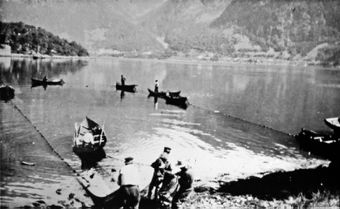 Holsvik notlag ca 1910 b.jpg