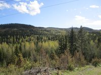 353. Hornefjellet (be-2012-05-12-IMG 1586).JPG