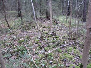 Horneplassen (be-2012-05-06 - IMG 1382).JPG