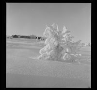 3. Hornsjø høyfjellshotell - no-nb digifoto 20150121 00191 NB MIT FNR 19790.jpg