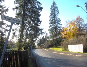 Hospitsveien Oslo 2013.jpg