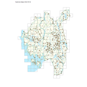 Huperzia selago 1.png