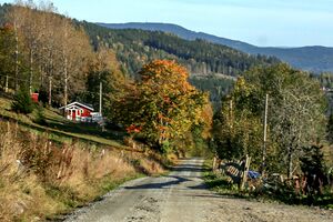 Hurdal Gjødingssætervegen 250927.jpg