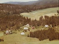356. Hus - Bingen WF420.jpg