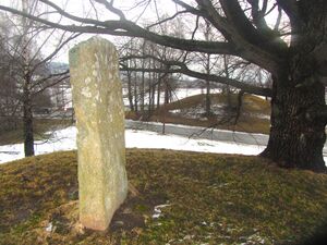 Husebyhaugene (Lier).jpg