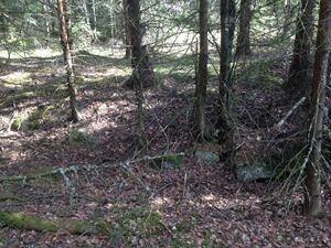 Hustuft av Vesthytta.jpeg