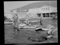 121. Hvalstasjon, Tromsøsund - no-nb digifoto 20150120 00086 NB MIT FNR 20071.jpg