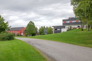 Hvamsalleen 220821.jpg