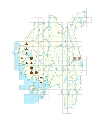 Hydrocharis morsus-ranae.png