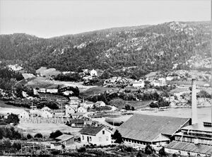 Hyggen 1905-15 (RHB-0498).jpg