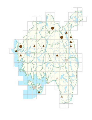 Hylotelephium telephium.png