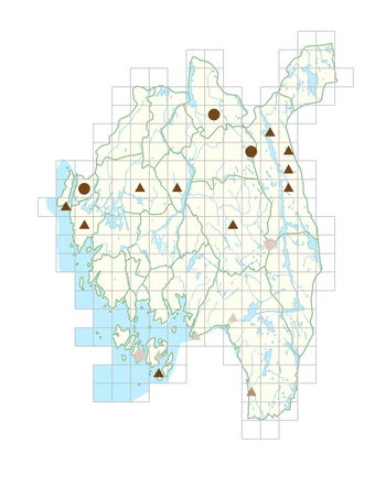 Hylotelephium telephium.png