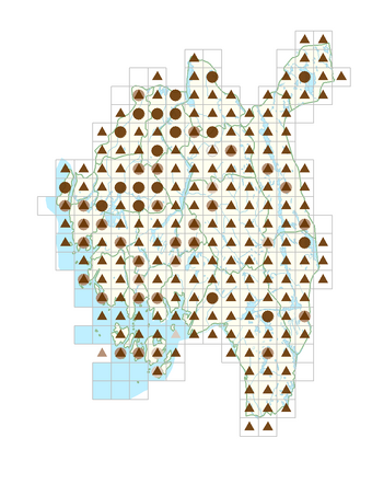 Hypericum maculatum.png