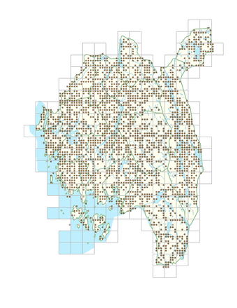 Hypericum maculatum 1.png