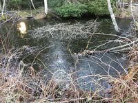 3. Hysken brønn.jpeg