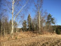 1. Hysken sett mot nordøst.jpeg