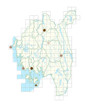 Iberis umbellata.png