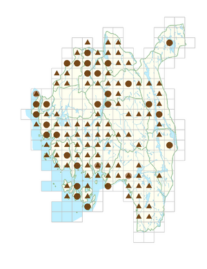 Impatiens glandulifera.png