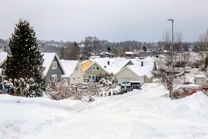 Indre Østfold Gaupefaret 240102.jpg