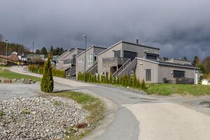 Indre Østfold Løvetannveien 230502.jpg